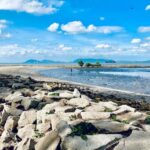 C3f0b845 cac bai bien o can gio 7265140 1080x715